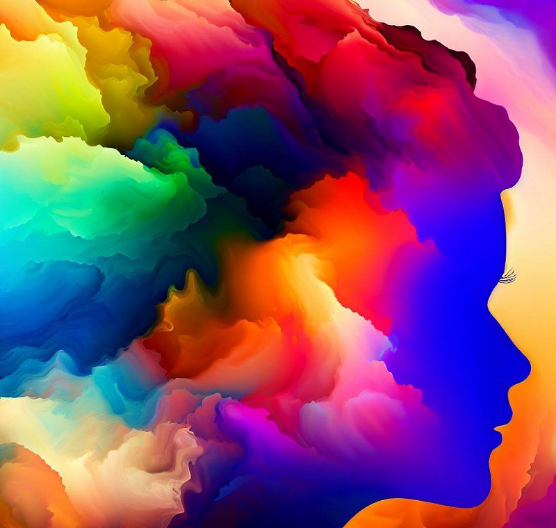 脳と色
